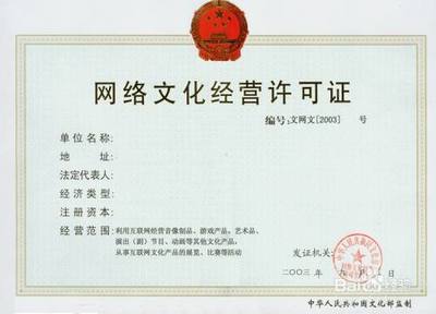 網(wǎng)絡(luò)文化經(jīng)營(yíng)許可證辦理指南 全面解析申請(qǐng)流程與注意事項(xiàng)